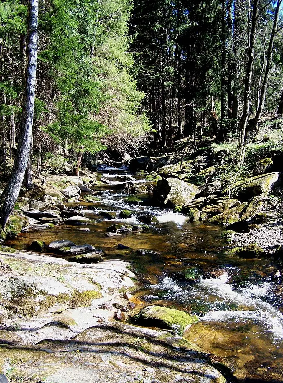 Černá