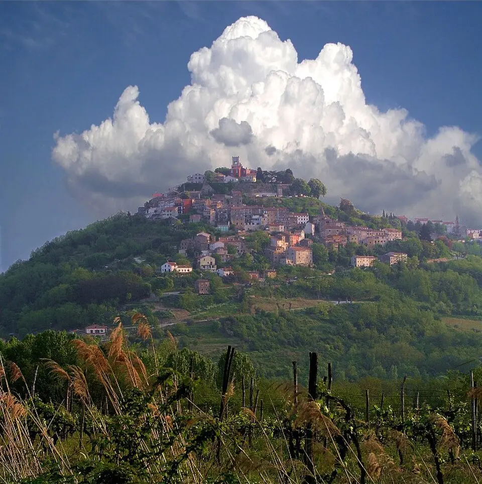 Obrázek: Vid Pogačnik · CC BY-SA 3.0 Motovun