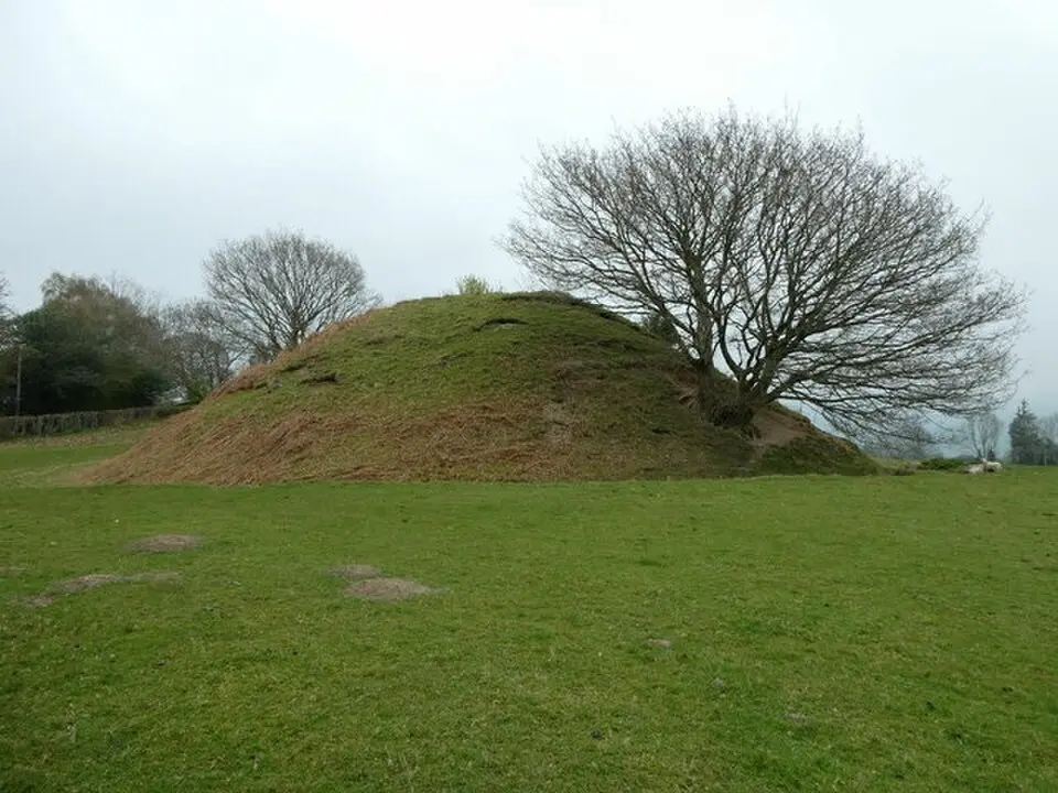 Ty'n-y-Celyn Castle Mound