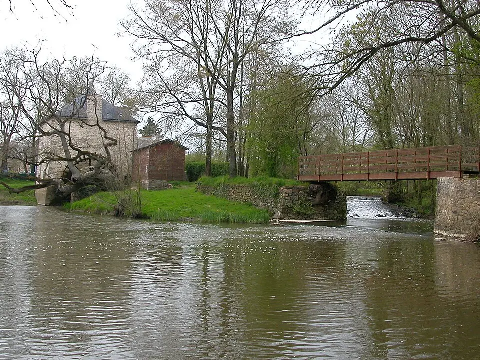 Chère