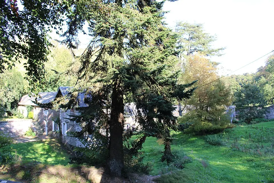 château de Castillon