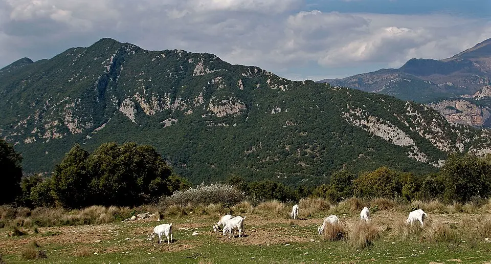 Immagine: Merdaseca · CC BY-SA 4.0 Garrotxa