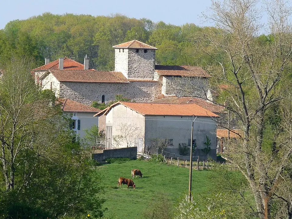 Mouzon