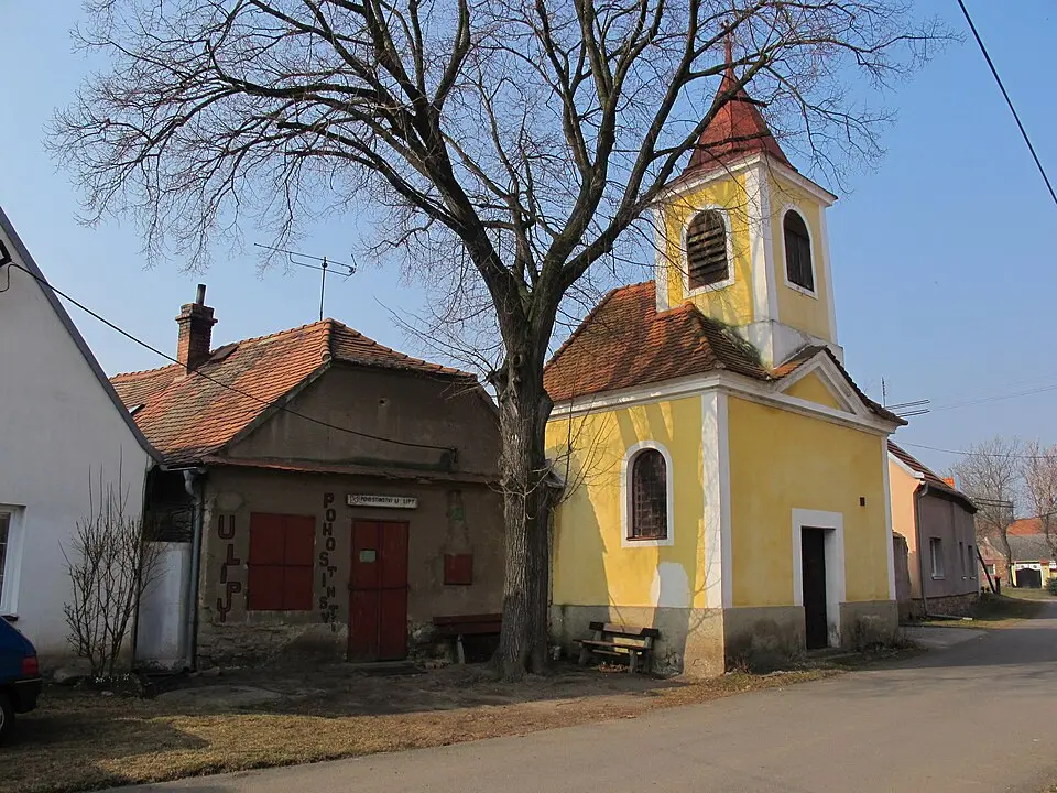 Mradice