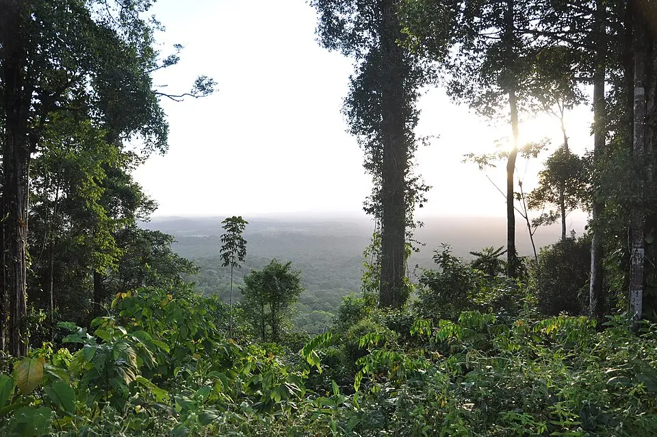 montagne de Kaw