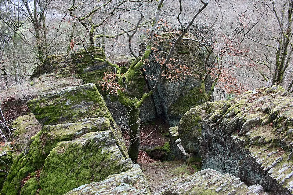 Burg Froneck