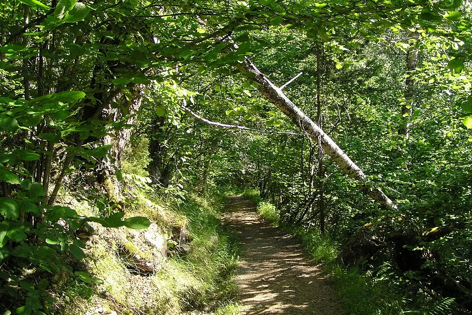 Muldalslia naturreservat