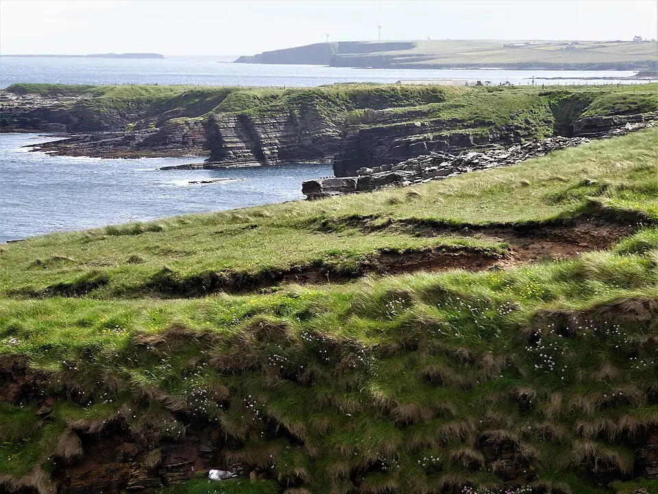 Mull Head Nature Reserve