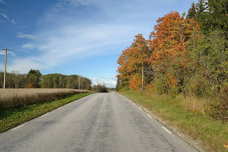 Kaasiku