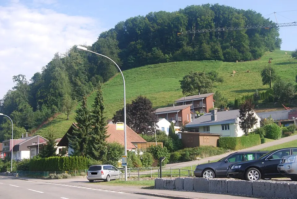 Image: DidiWeidmann · CC BY-SA 3.0 Altbüron