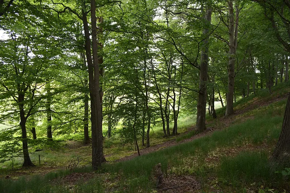 Munkarps jär