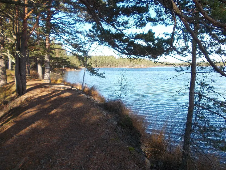 Kråksjöåsen-Kojemossen