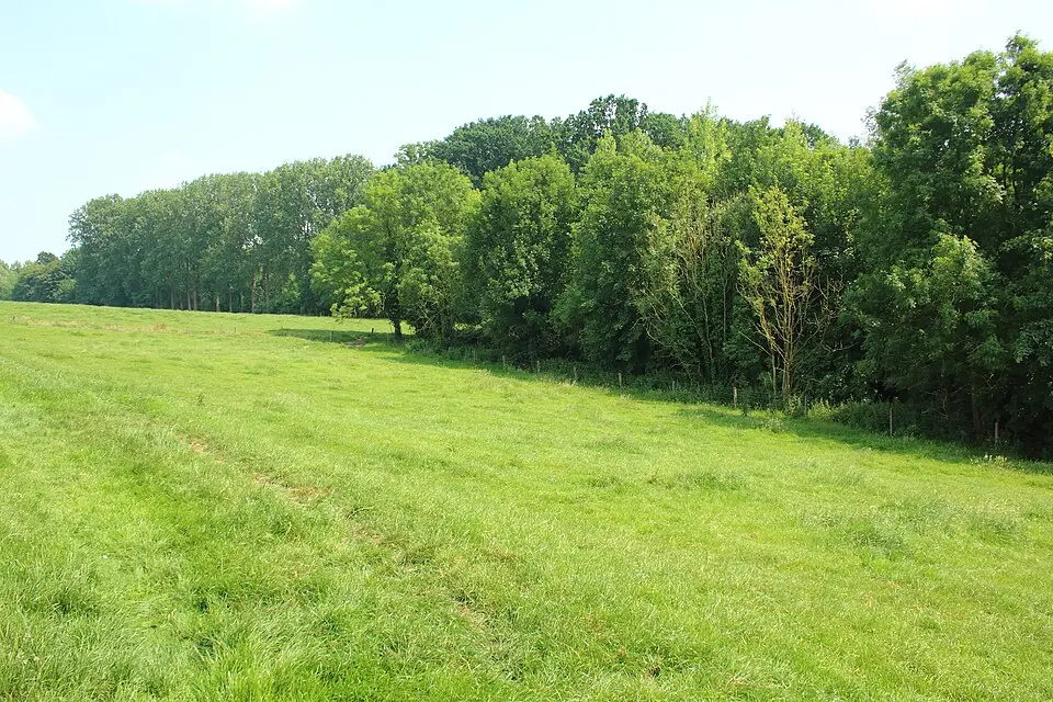 Munkbosbeekvallei