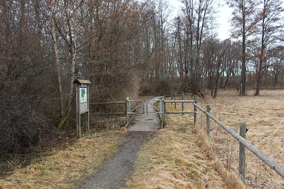 Munkholmens naturreservat