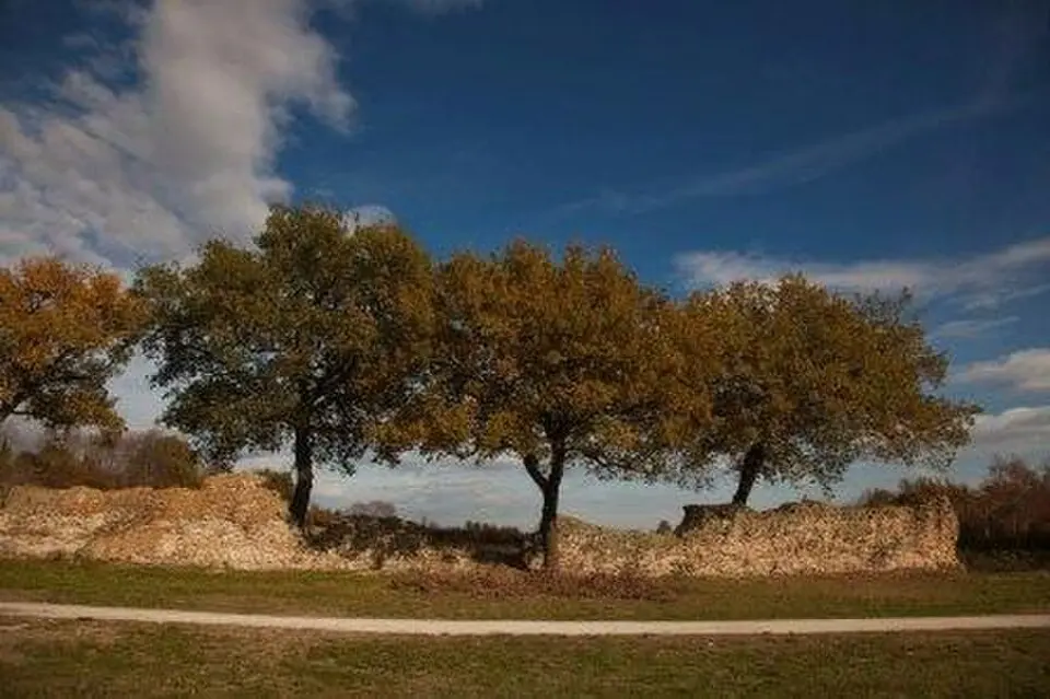 parco archeologico di Urbs Salvia