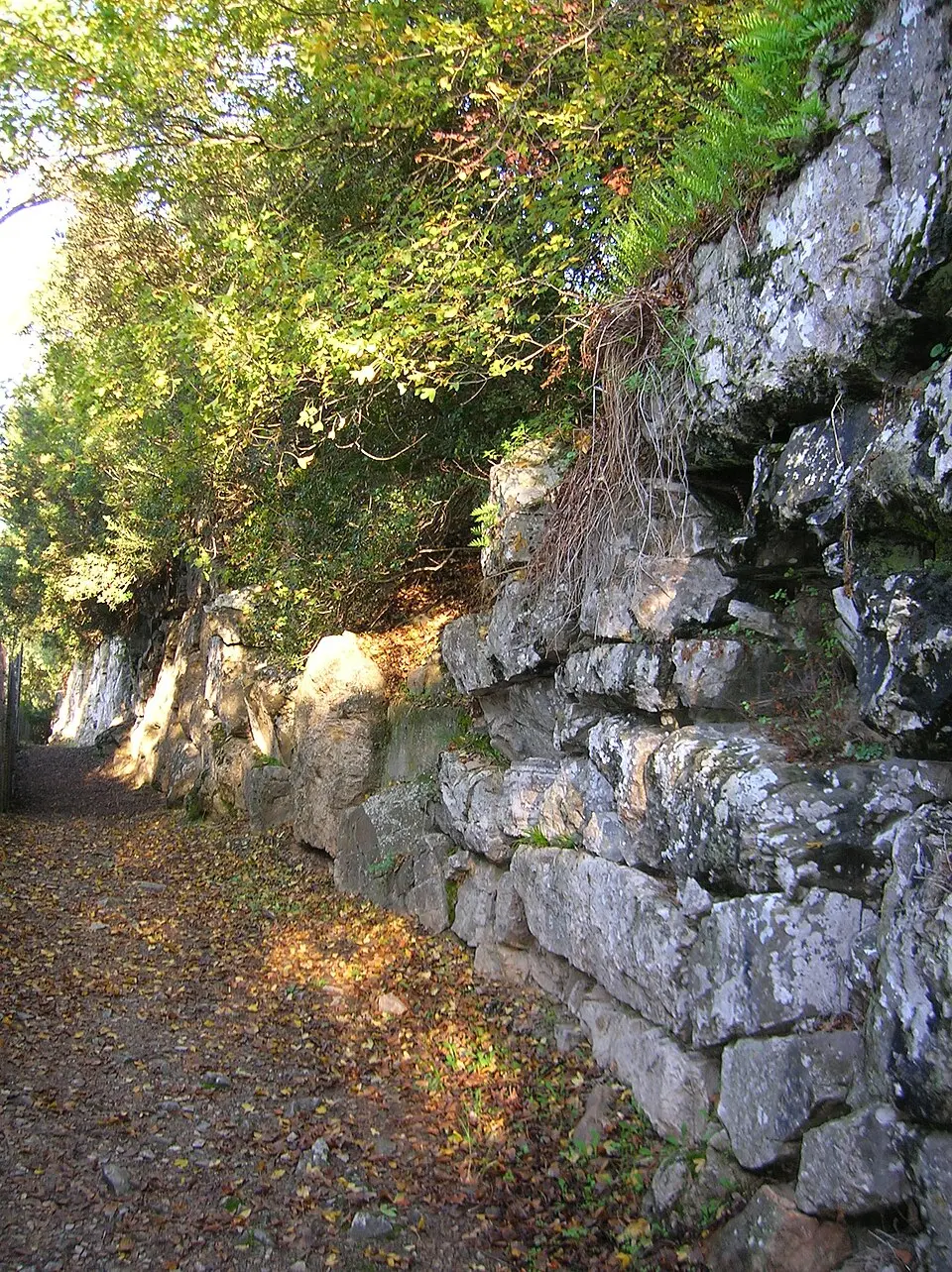 mura di Roselle