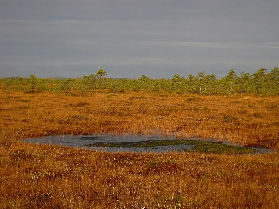 Muraka looduskaitseala
