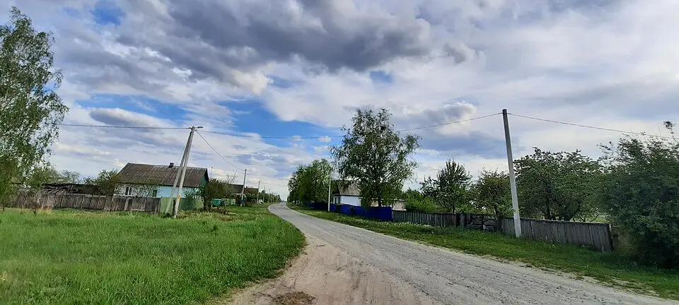 Муравейніца