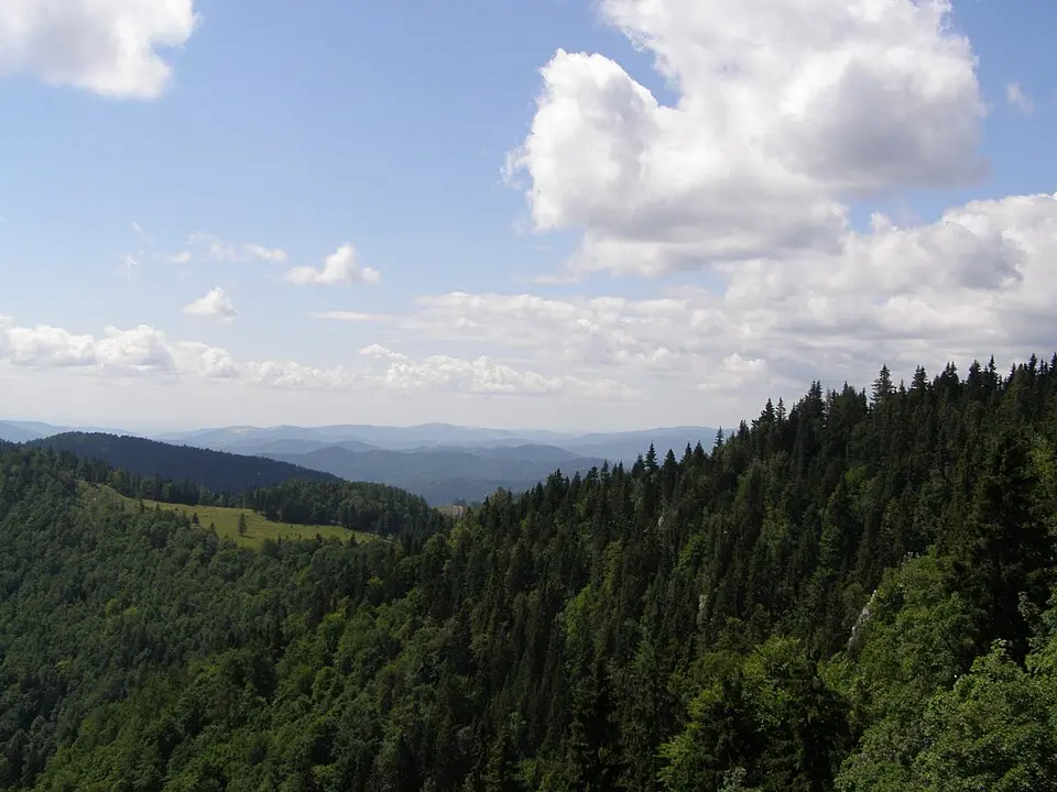 Kľak