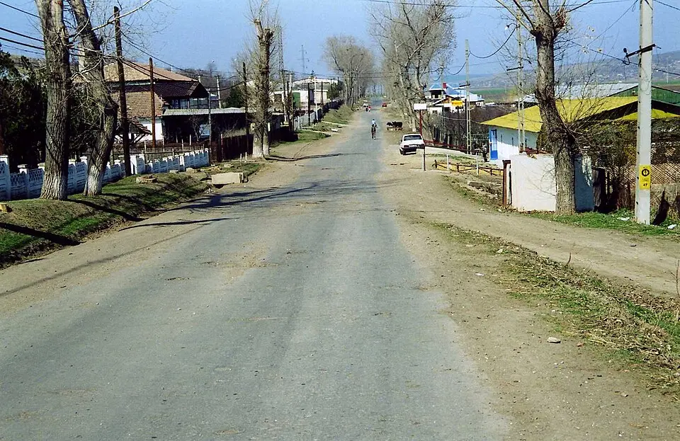 Murgeni