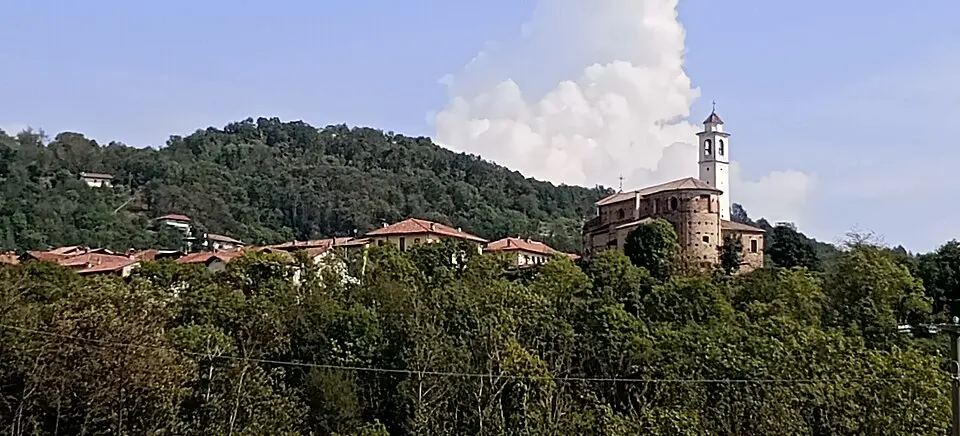 Muriaglio