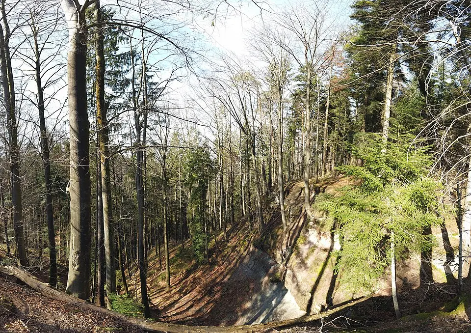 Murrhardter Wald