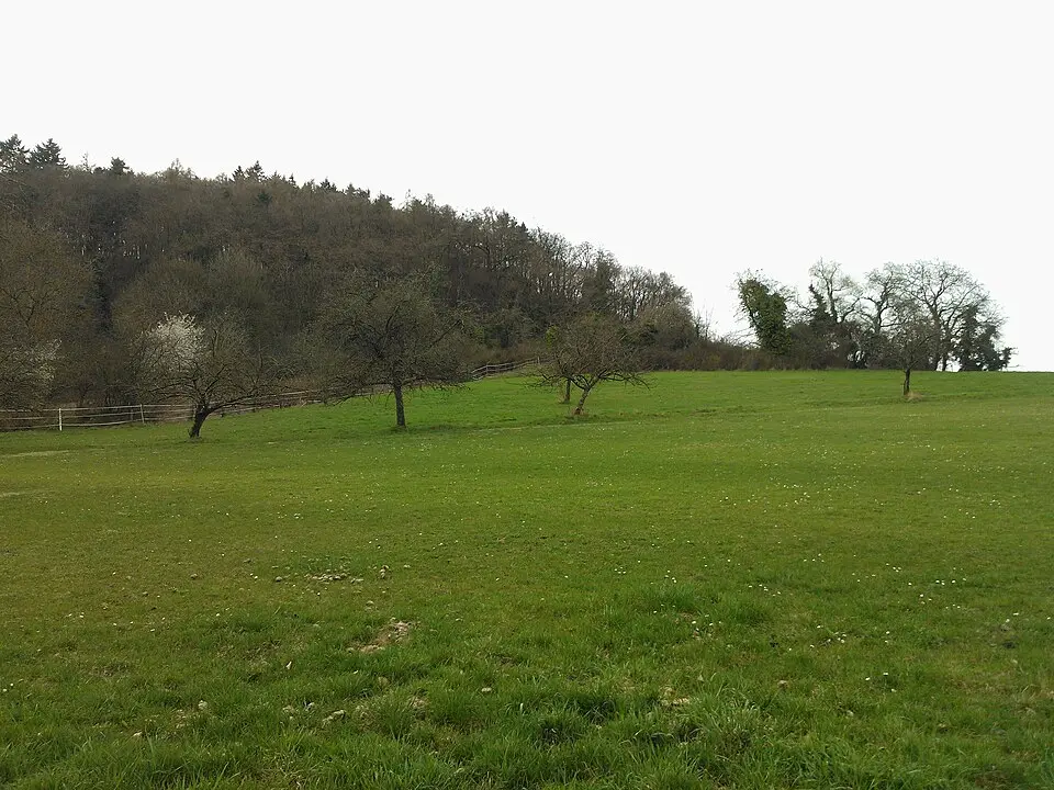 Alte Burg (Nieder-Beerbach)