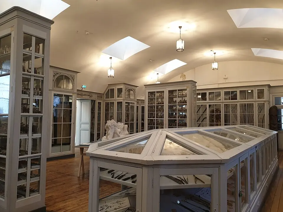musée national de l'Ancienne École de médecine navale