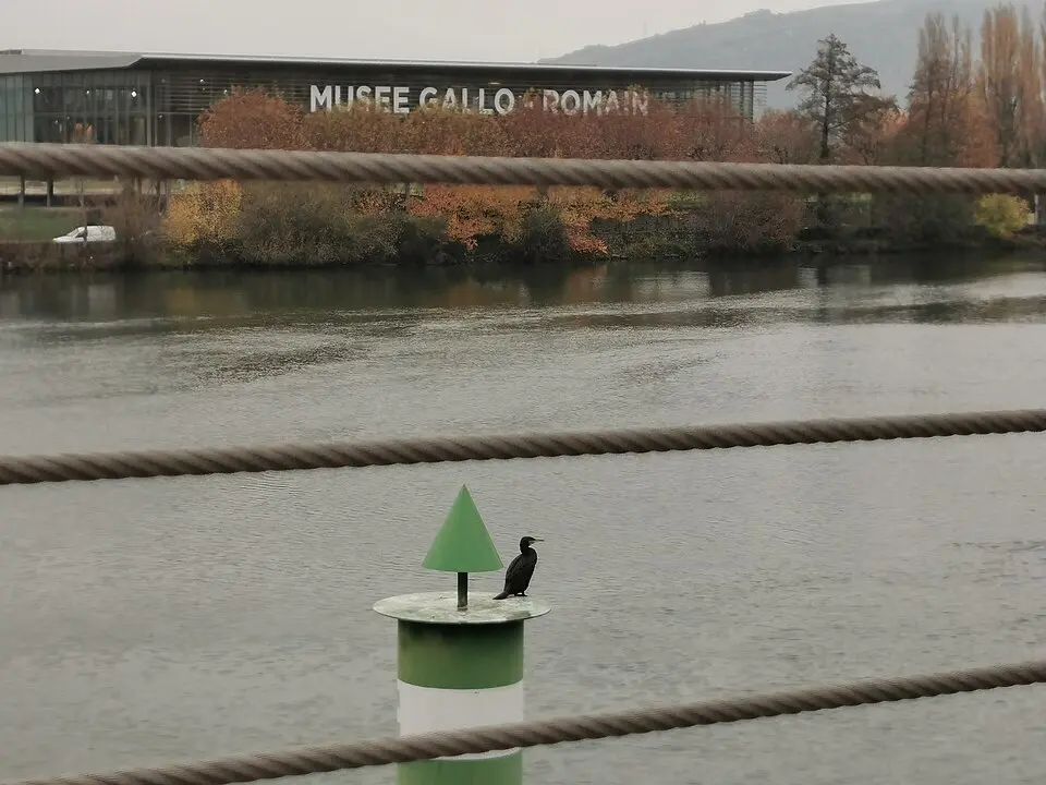Musée Gallo-Romain de Saint-Romain-en-Gal