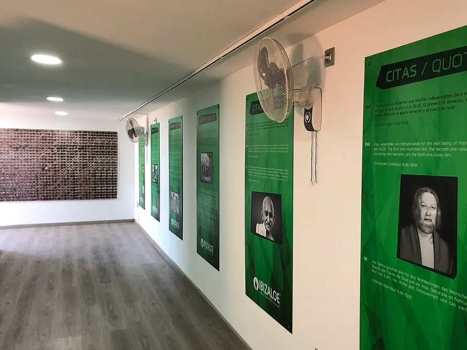 Museo Aloe Vera Ibiza