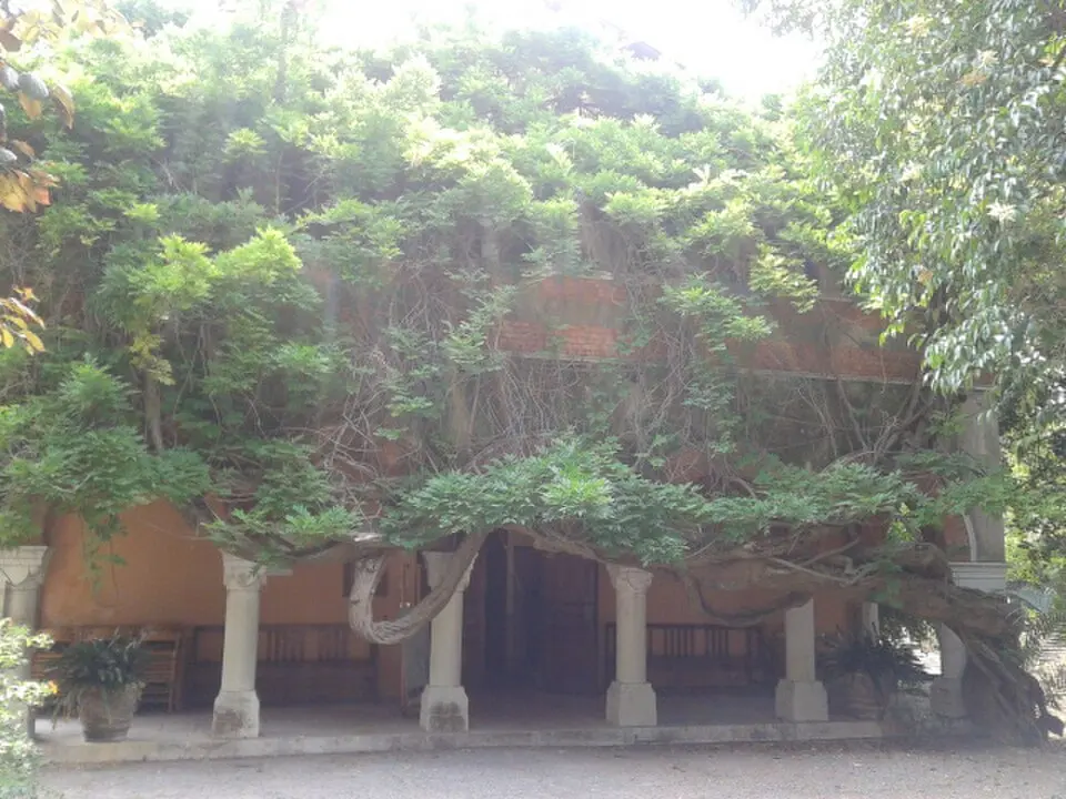 Museo Bicknell