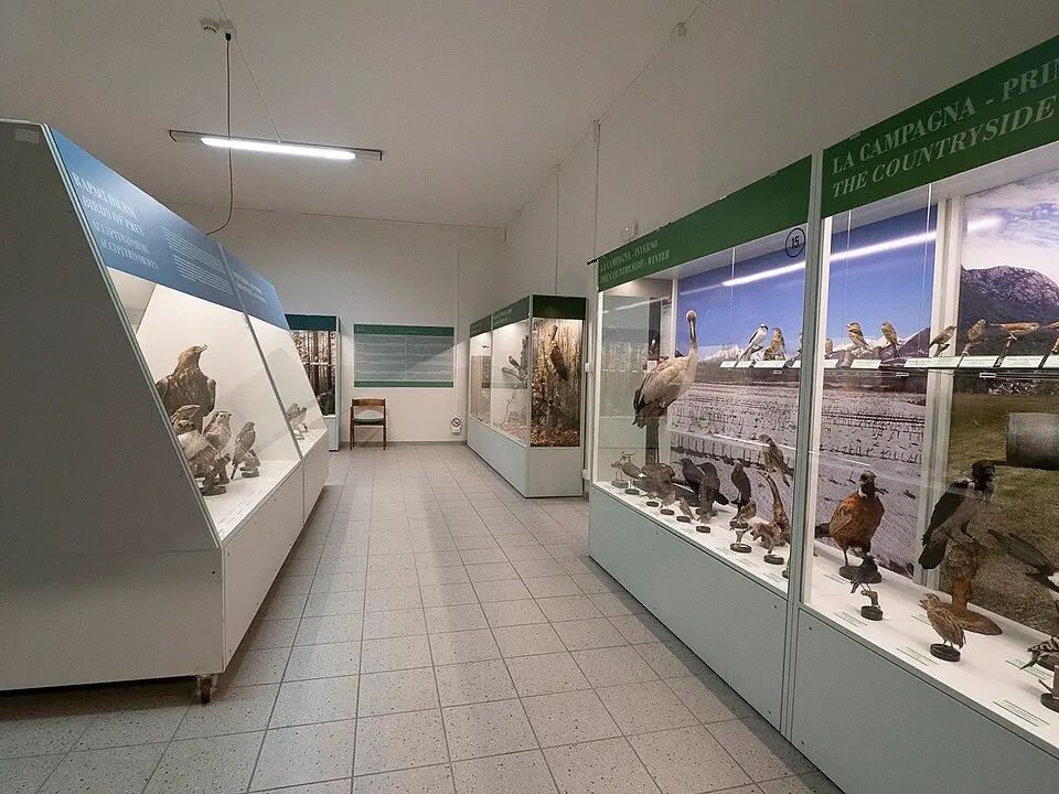 Museo Ornitologico e delle Scienze Naturali di Varenna