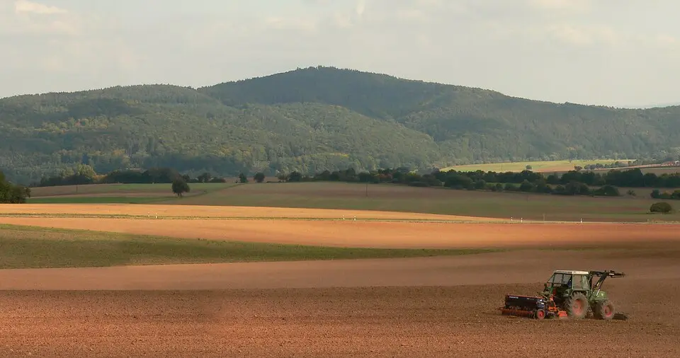 Altenburg (Neuental)