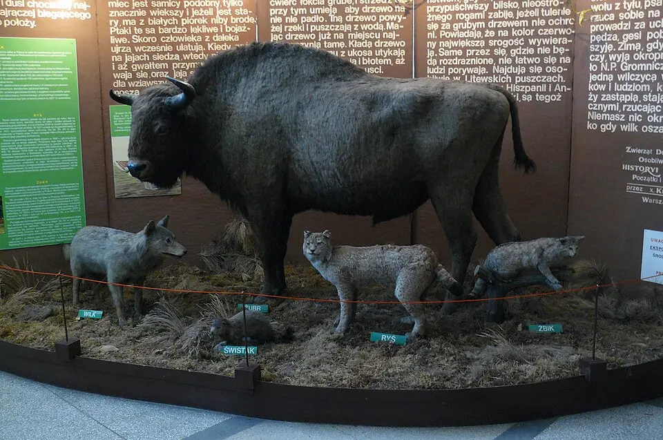 Muzeum Wiedzy o Środowisku w Poznaniu