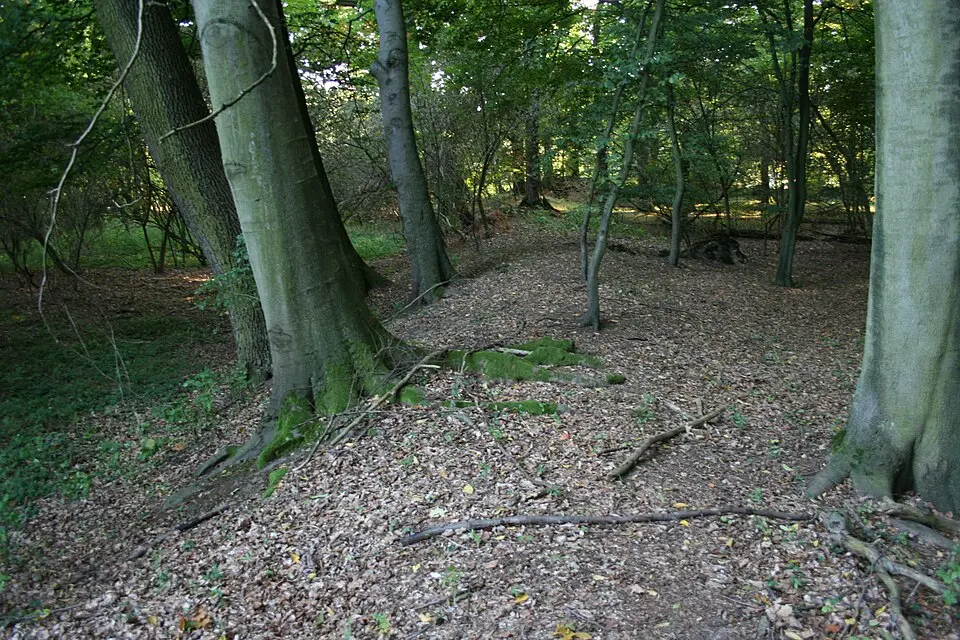 Altenburg (Hanau)