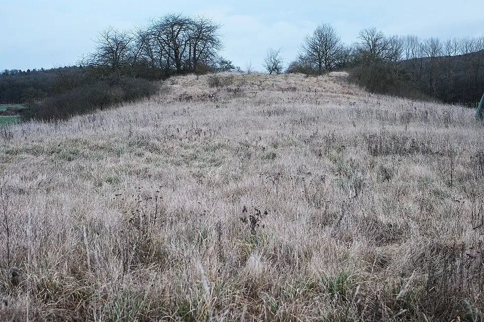 Turmhügel Altenburg