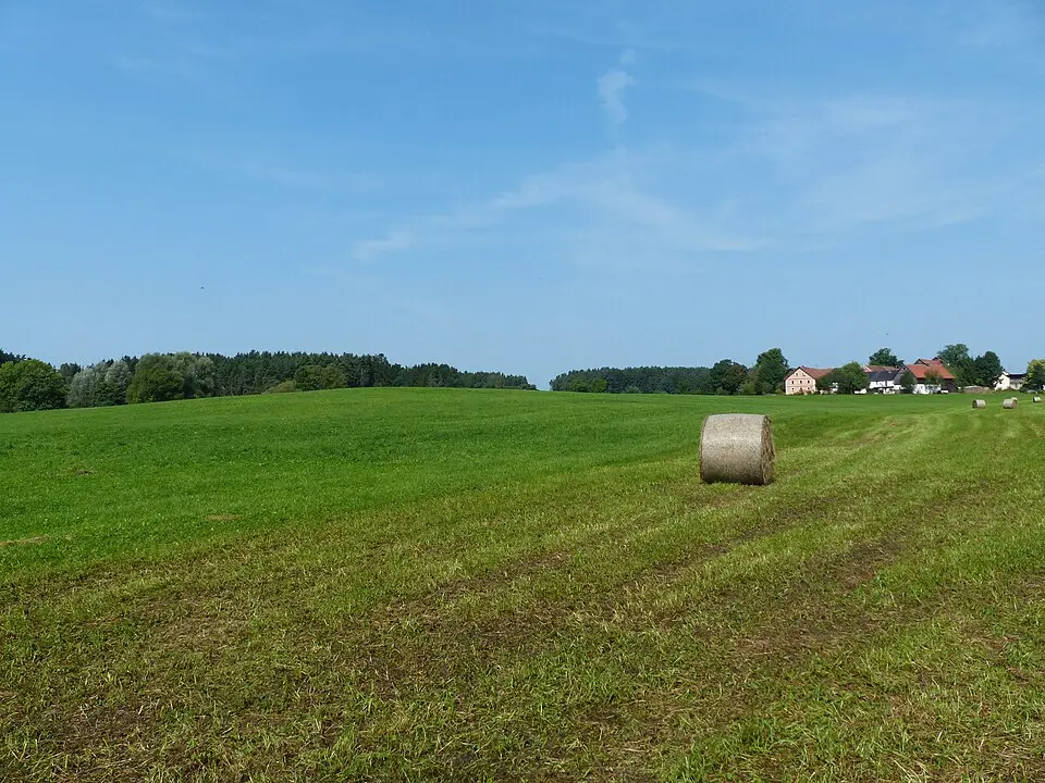 Turmhügel Altencreußen