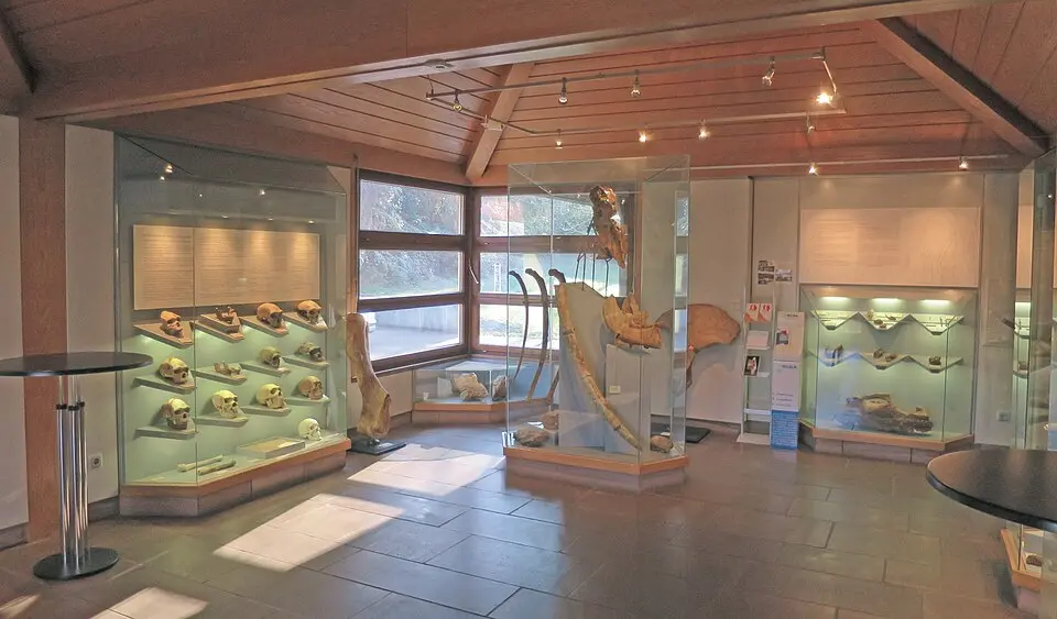 Urgeschichtliches Museum im Rathaus