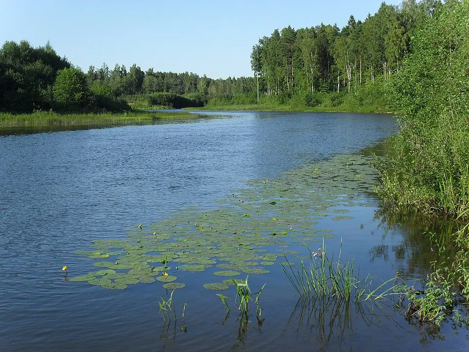 Mustajõgi
