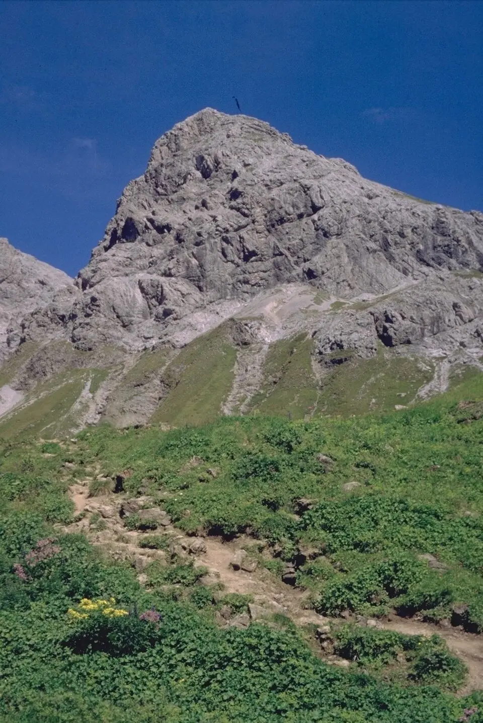 Muttlerkopf