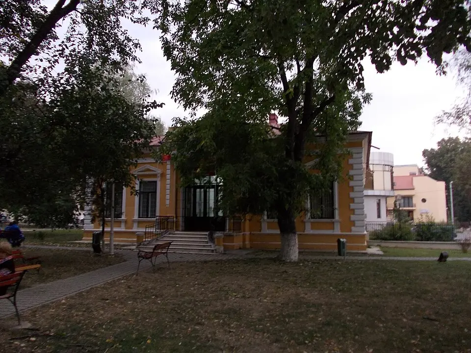 Muzeul de Artă din Roman