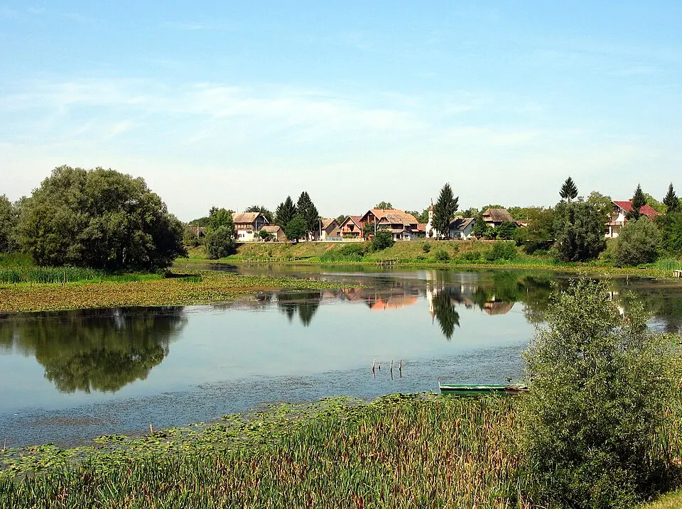 Mužilovčica