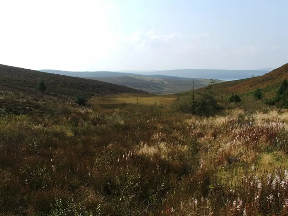 Denbigh Moors