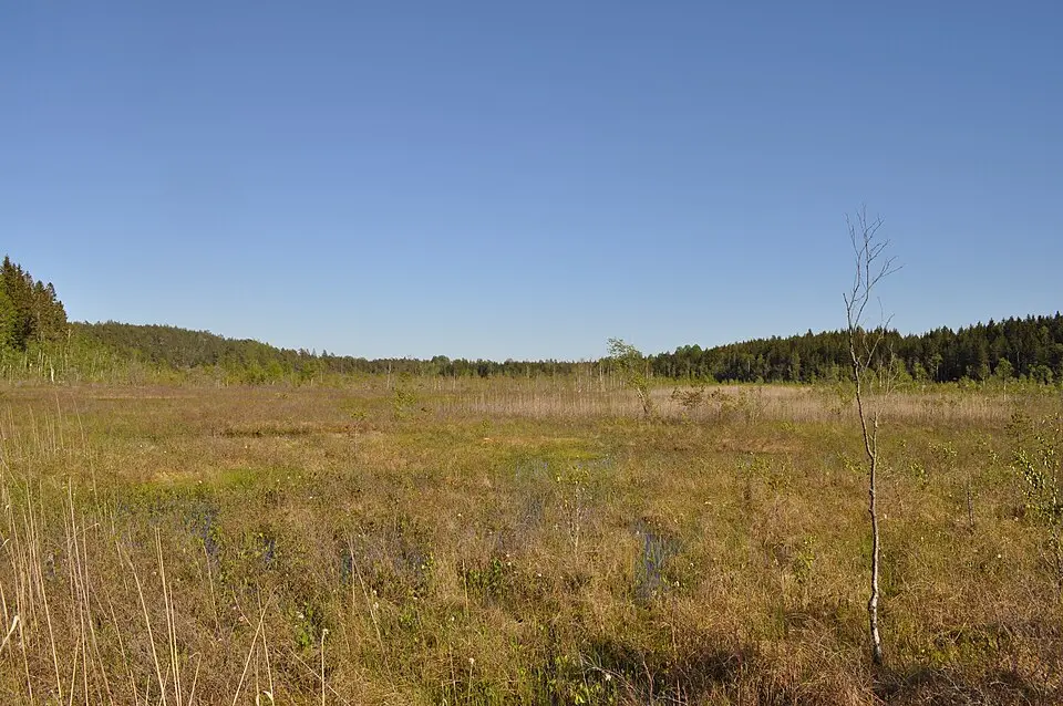 Marsjöns naturreservat