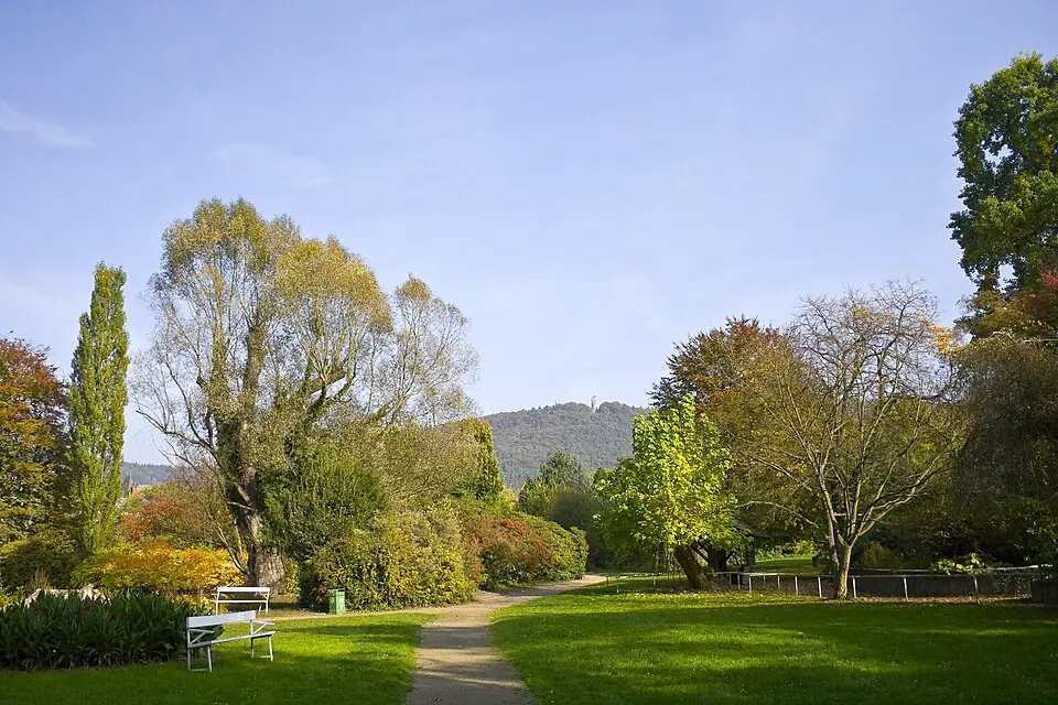 Bild: Willow · CC BY 2.5 Alter Botanischer Garten
