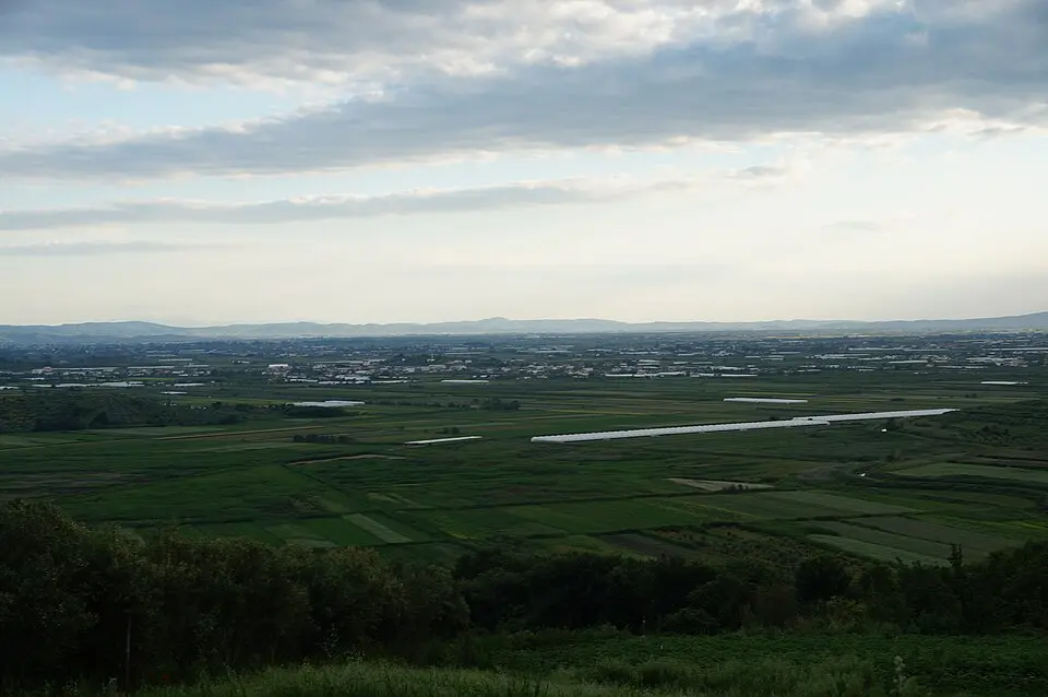 Myzeqeja