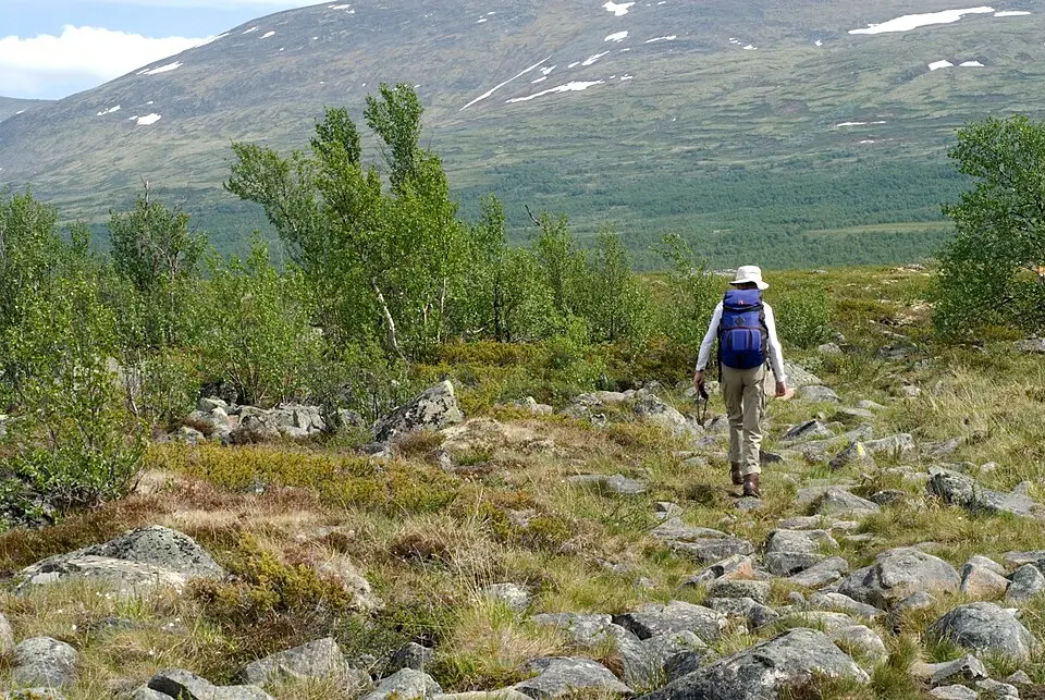réserve naturelle de Fokstumyra