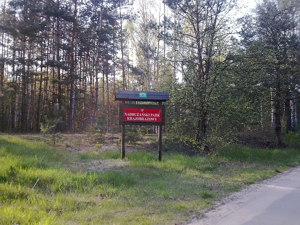 Łazy