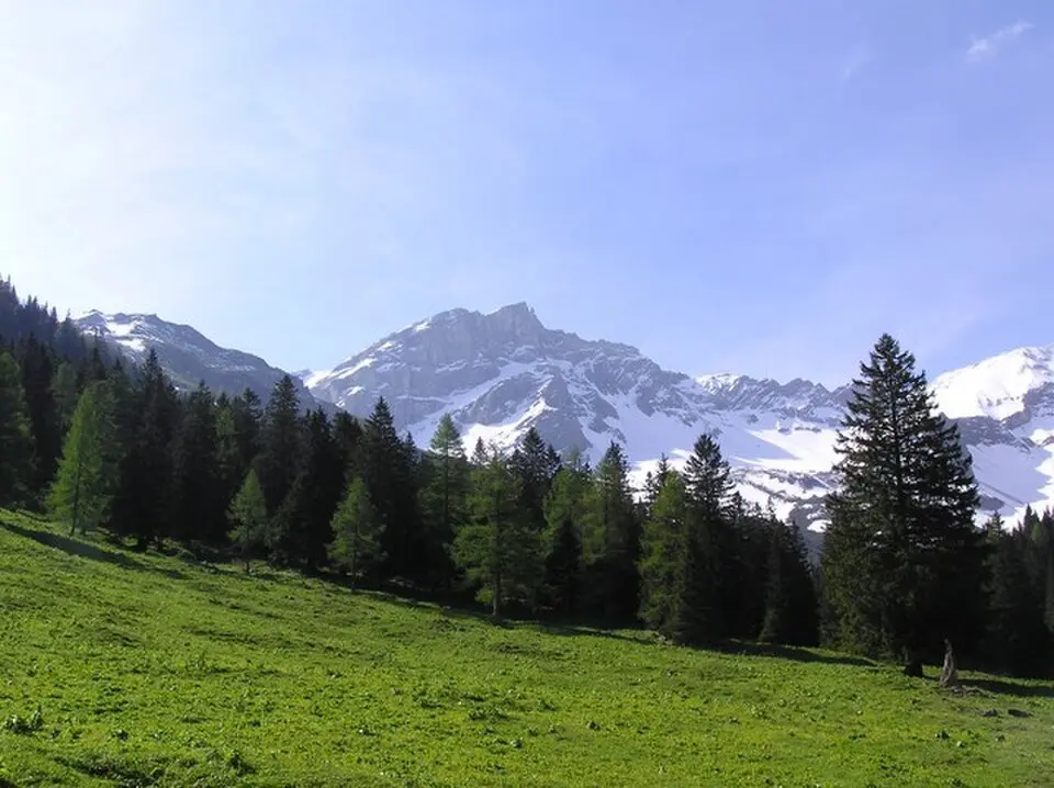 Naafkopf