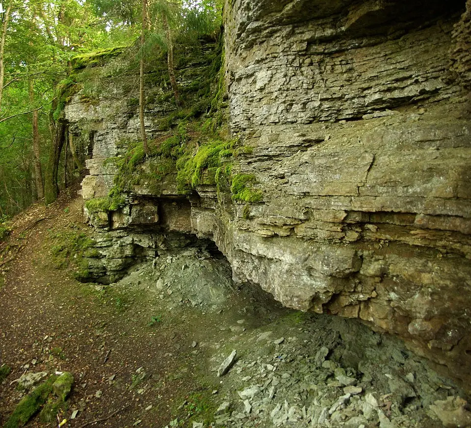 Naage
